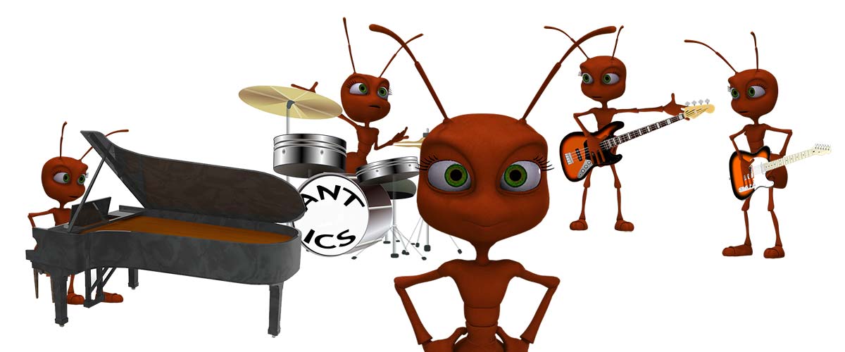 Pre-Skim Bash with The Antics