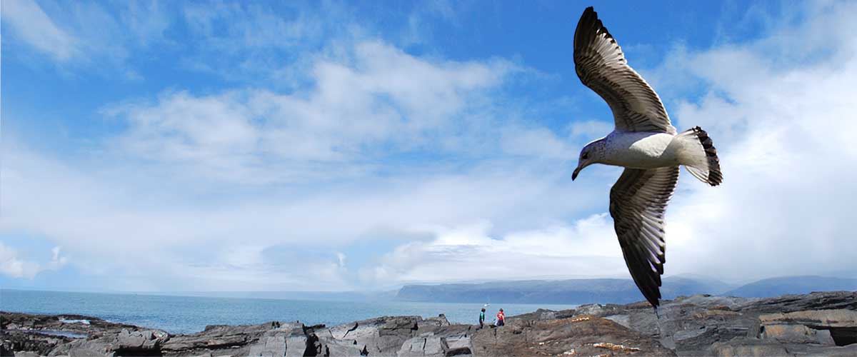 Easdale Island Summer Art Festival