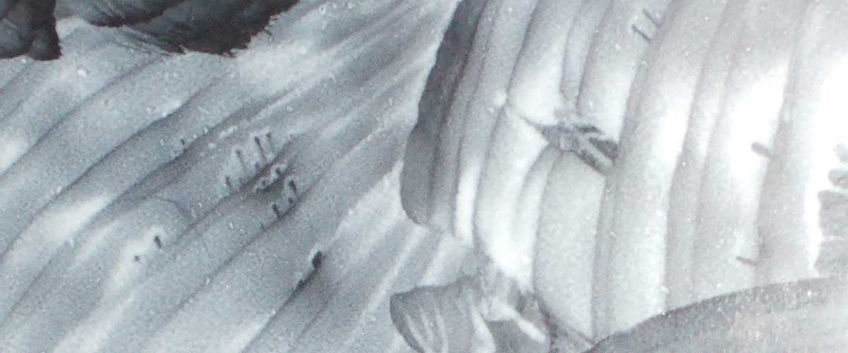 Dark Forest: Recent work by Ghalia Asaid