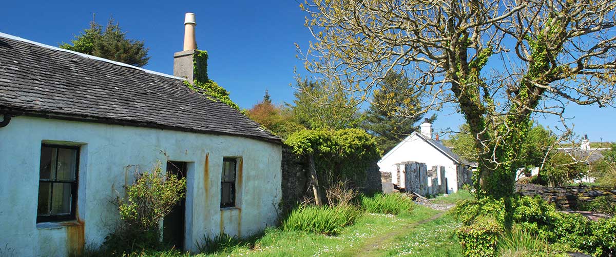 Summer Arts Festival: Life