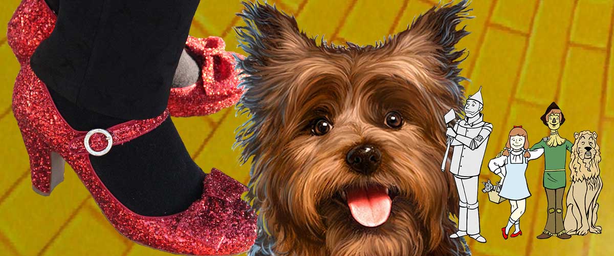 The Wizard of Ozzydale